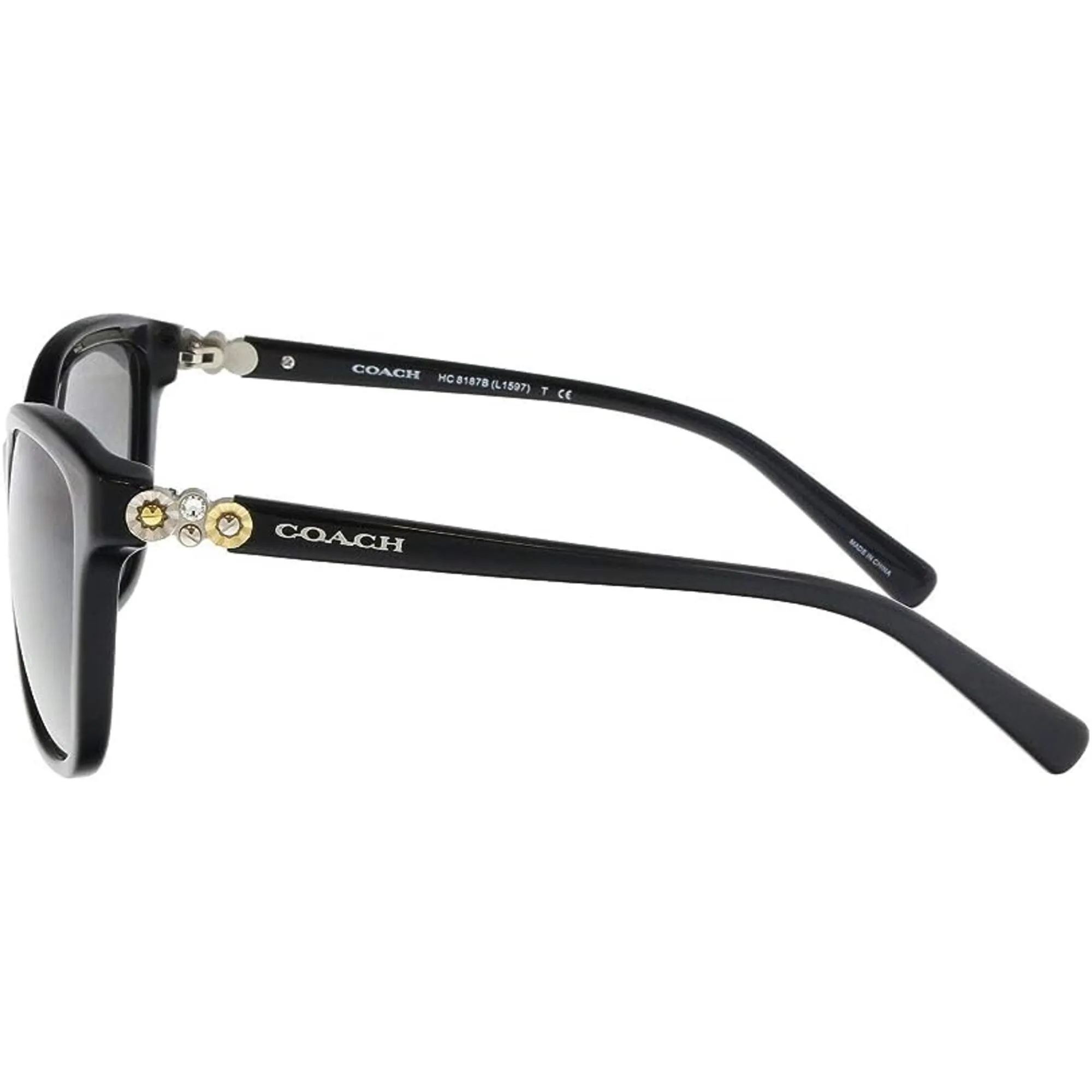 Coach Women's Sunglasses - Black Square Plastic Frame Smoke Lens | 0HC8187B 500211