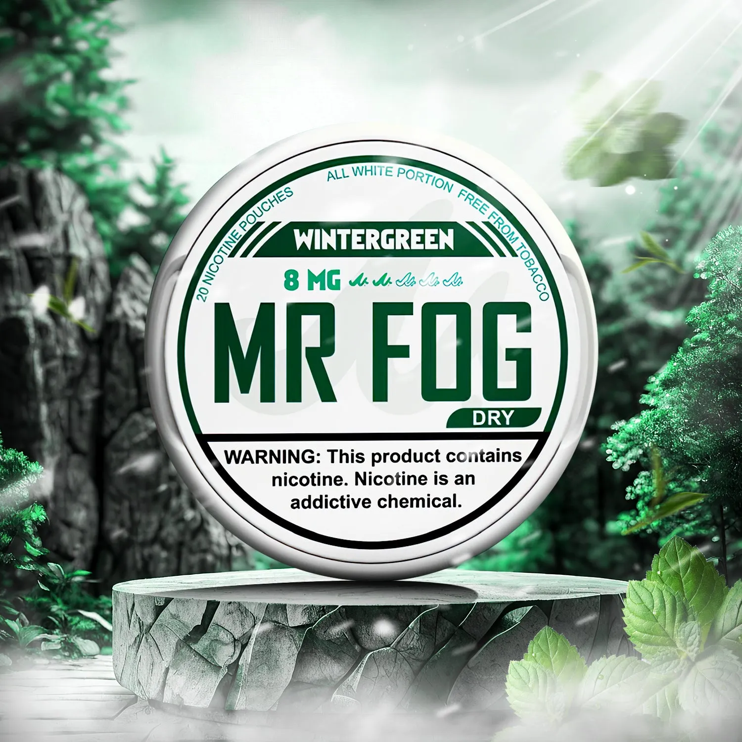 MR FOG NICOTINE POUCHES 8MG