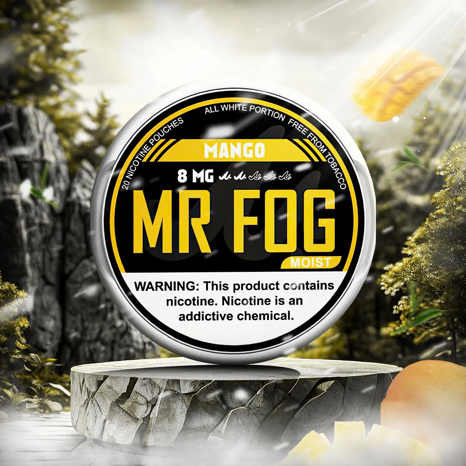 MR FOG NICOTINE POUCHES 8MG