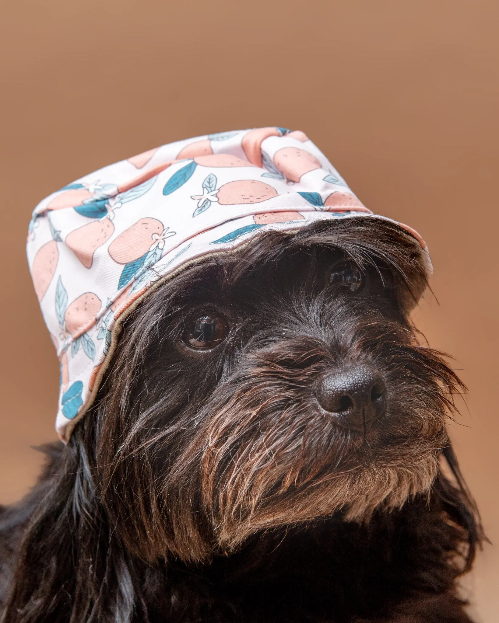 Pink Lemonade Bucket Hat for Dogs << CLEARANCE >>