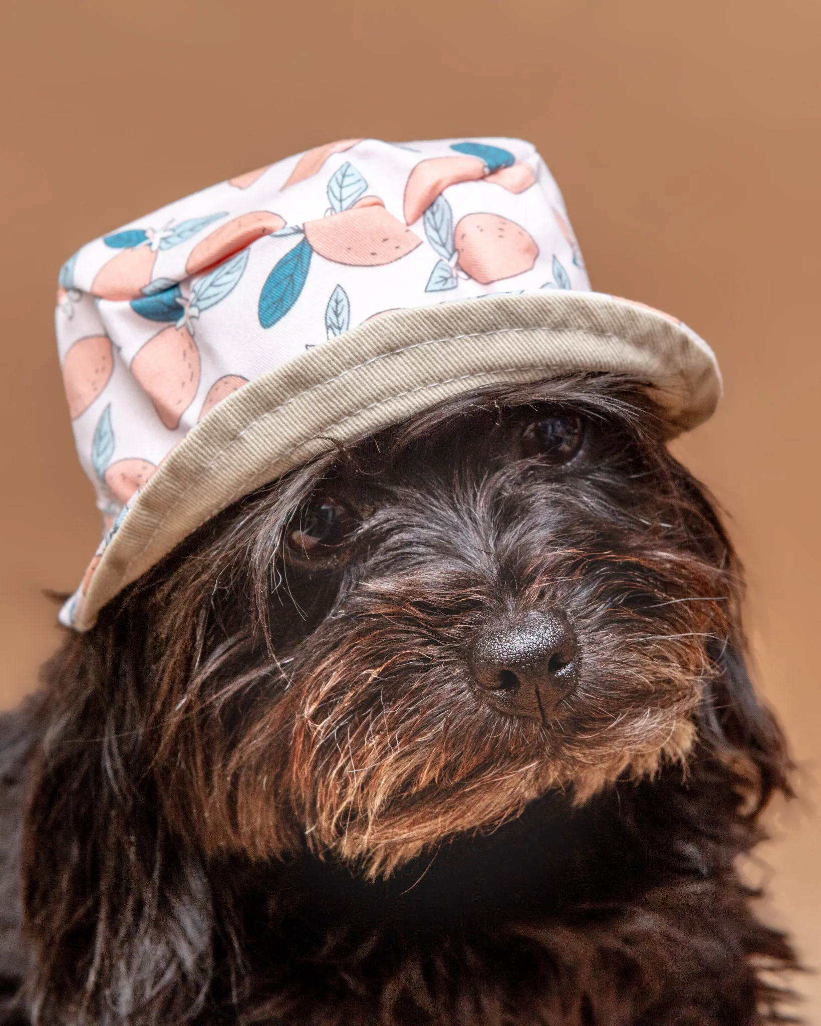 Pink Lemonade Bucket Hat for Dogs << CLEARANCE >>