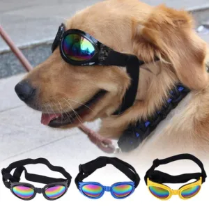 Stylish Safety: Eye Wear Protection Dog Sunglasses for Dogs Over 15 lbs!